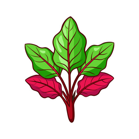 Fresh Red Veined Sorrel on Pure White Backgroundのイラスト素材
