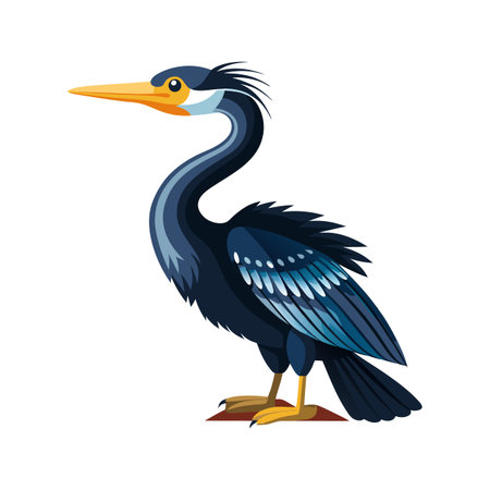 Creative Anhinga Bird Illustration Design