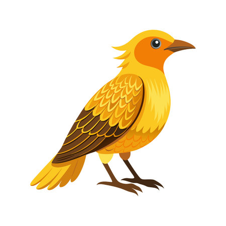 Unique Artwork of Golden Bowerbirdのイラスト素材