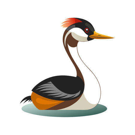 Charming Grebe Bird Vector Artworkのイラスト素材