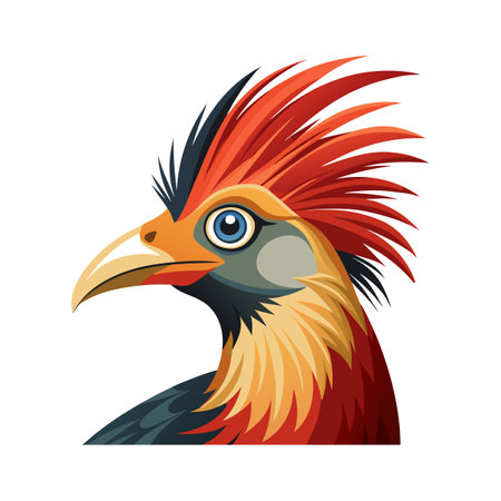 Elegant Hoatzin Bird Graphic Designのイラスト素材