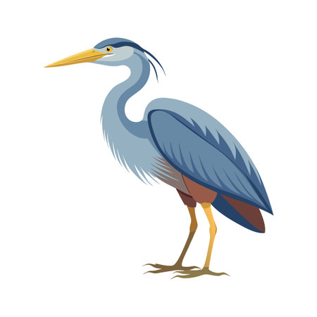 Charming Illustration of Heronのイラスト素材