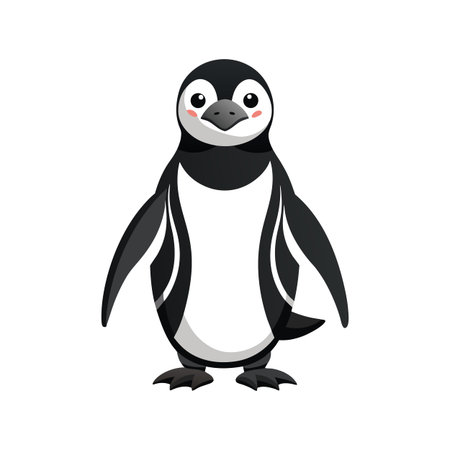 Unique Magellanic Penguin Bird Graphicのイラスト素材
