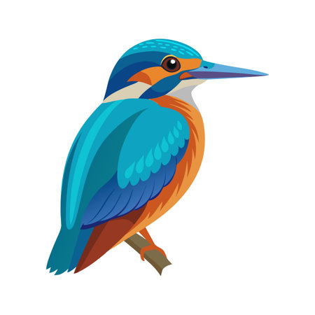 Elegant Kingfisher Bird Graphicのイラスト素材