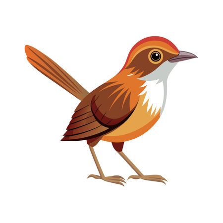 Stunning Malaysian Rail Babbler Artworkのイラスト素材