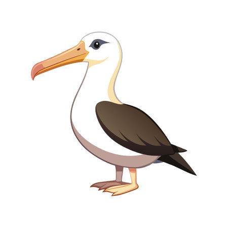 Unique Laysan Albatross Bird Graphicのイラスト素材