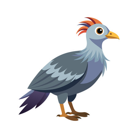 Unique Artwork of Kagu Birdのイラスト素材