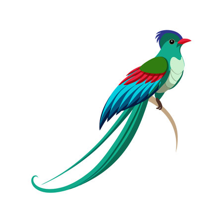 Unique Long-Tailed Sylph Bird Graphicのイラスト素材