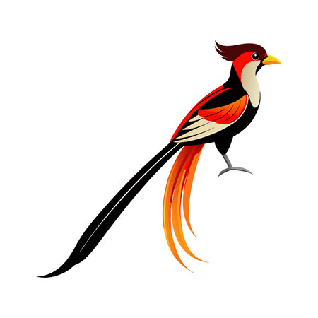 Charming Long-Tailed Widowbird Vectorのイラスト素材