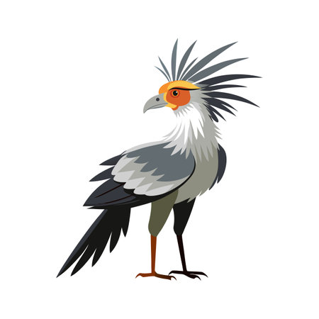 Dynamic secretarybird vector art for natureのイラスト素材