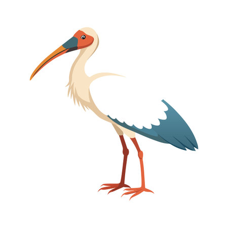 Wood Stork Bird Artistic Illustration of Natureのイラスト素材