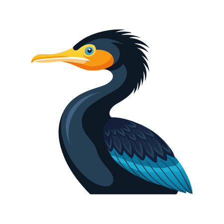 Elegant Double-Crested Cormorant Bird Artworkのイラスト素材