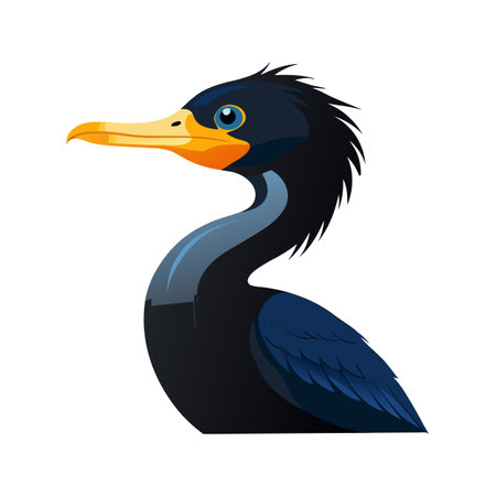Charming Artwork of Double-Crested Cormorantのイラスト素材