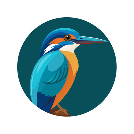 Charming Ringed Kingfisher Artworkのイラスト素材