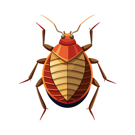 Artistic Representation of Bedbug for Educational Use