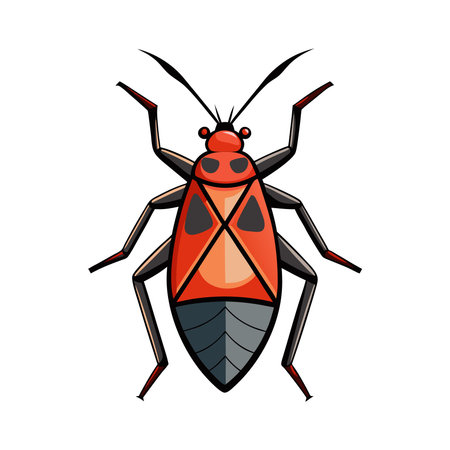 Engaging Boxelder Bug Illustration for Kids Learning