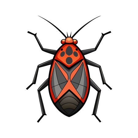 Fun Boxelder Bug Illustration for Kids Learning