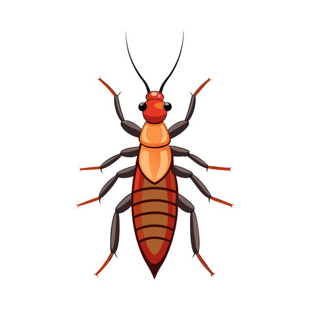 Charming Earwig on a Leafのイラスト素材