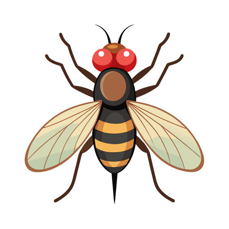 Cute House Fly Character Illustrationのイラスト素材