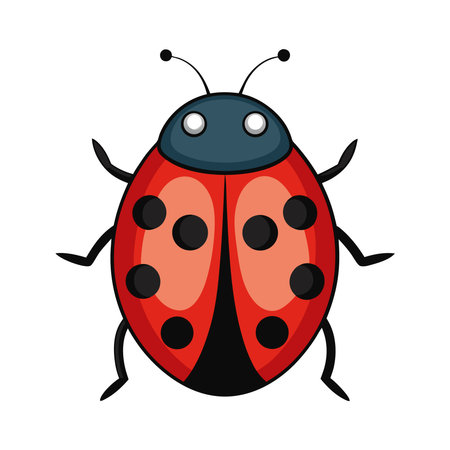 Cute Ladybug Digital Artのイラスト素材