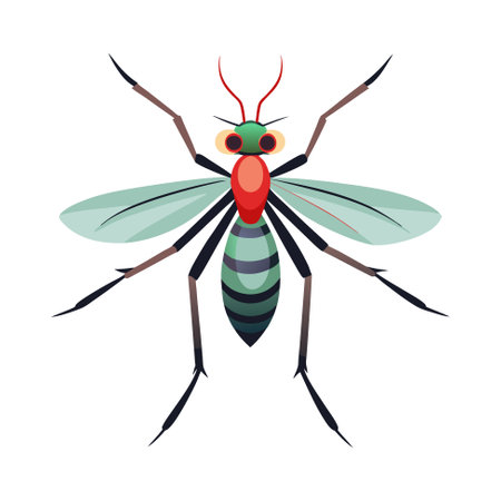 Charming Mosquito Character Digital Artのイラスト素材
