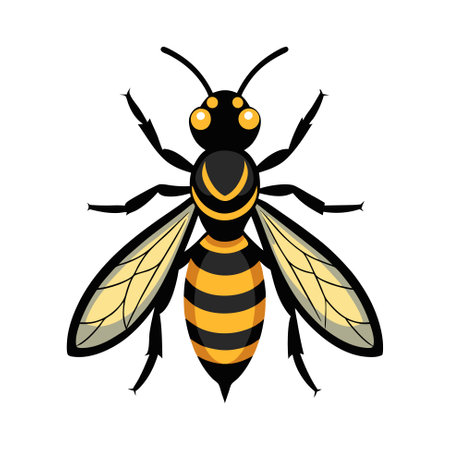 Stylized Wasp for Educational Useのイラスト素材