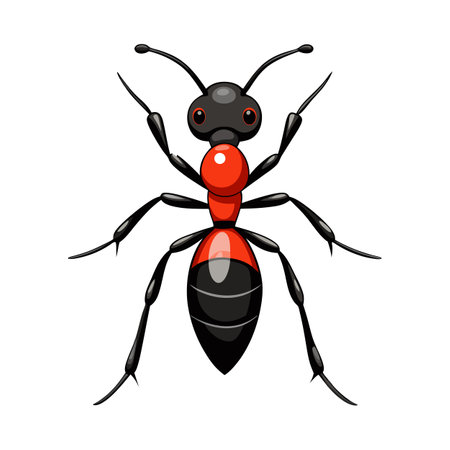 Detailed Illustration of Carpenter Ant Speciesのイラスト素材