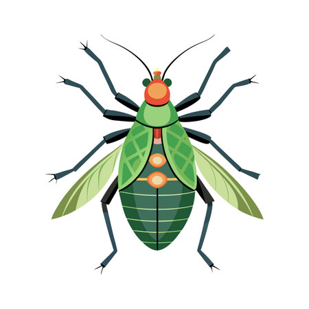 Aphis Fabae Artistic Vector Illustration