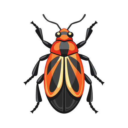 Eudicella Gralli Unique Vector Art