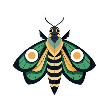 Samia Cynthia Artistic Vector Designのイラスト素材