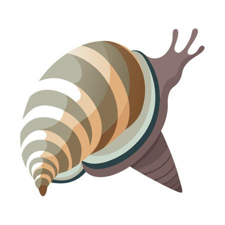 Perla Marginata Stunning Vector Representationのイラスト素材