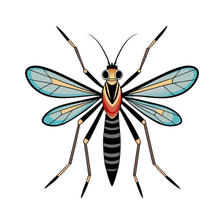 Tipula Paludosa Unique Vector Artのイラスト素材