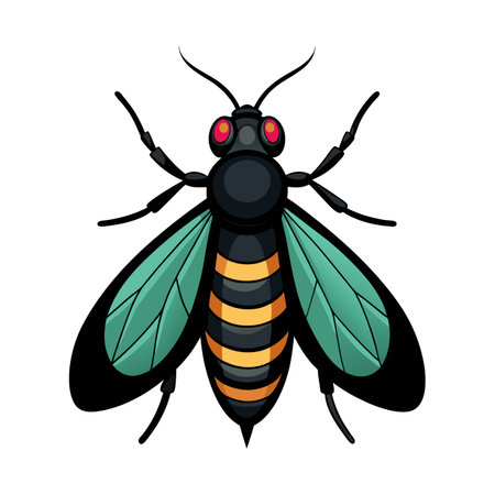 Hermetia Illucens Unique Vector Artのイラスト素材