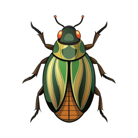 Cetonia Aurata Stunning Vector Designのイラスト素材