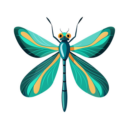 Calopteryx Virgo Artistic Graphics Vectorのイラスト素材