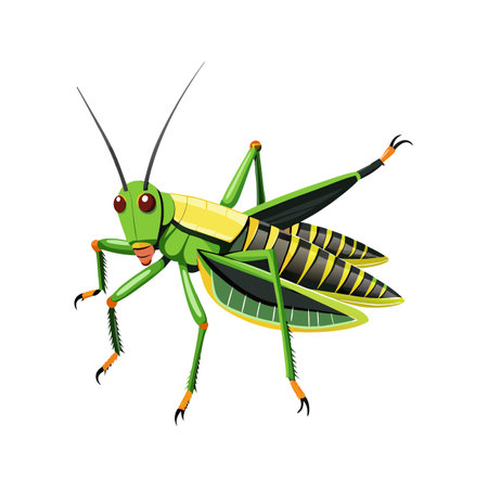 Locusta Migratoria Stunning Vector Representationのイラスト素材
