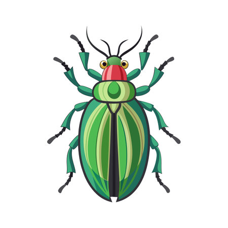 Lilioceris Lilii Stunning Vector Representationのイラスト素材