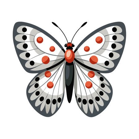 Parnassius Apollo Engaging Vector Designのイラスト素材