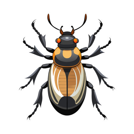 Ectobius Pallidus Engaging Vector Artworkのイラスト素材