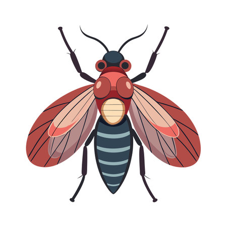 Rhamphomyia Longicauda Unique Vector Artのイラスト素材