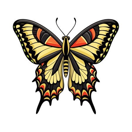 Papilio Machaon Artistic Vector Designのイラスト素材