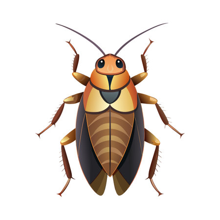 Periplaneta Americana Unique Vector Artのイラスト素材