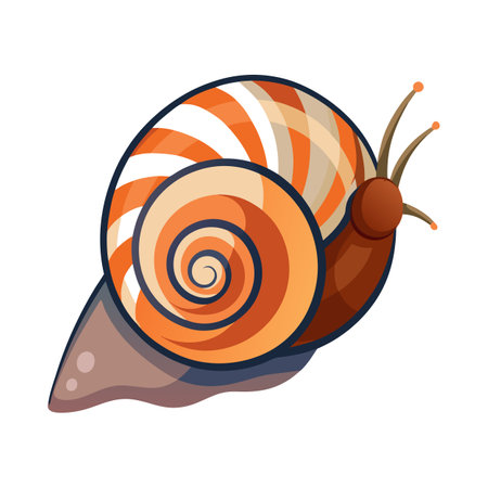 Perla Marginata Engaging Vector Designのイラスト素材