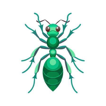 Oecophylla Smaragdina Unique Vector Artのイラスト素材