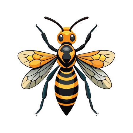 Polistes Dominula Unique Vector Artのイラスト素材