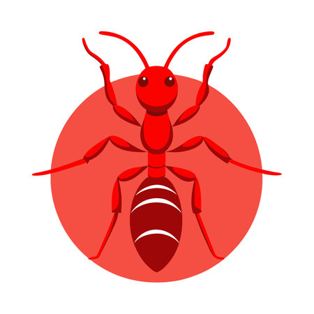 Solenopsis Invicta Engaging Vector Designのイラスト素材