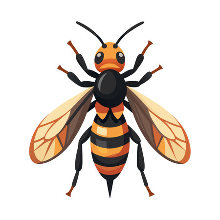 Vespa Velutina Stunning Vector Representationのイラスト素材