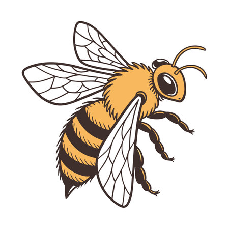 Stylish Anthophora Bee Graphic on Whiteのイラスト素材