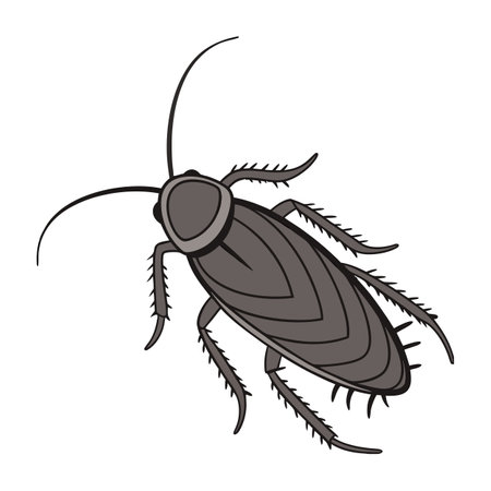 Stylish Blatta Orientalis Cockroach Illustrationのイラスト素材
