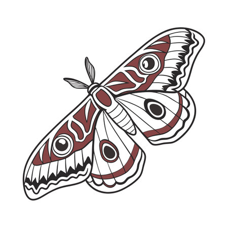 Stylish Caligo Eurilochus Butterfly Illustrationのイラスト素材
